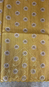 Tissue Organza Saree