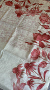 Soft Tissue Organza Saree