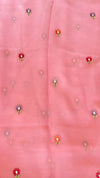 Georgette Organza Saree with Embroidery