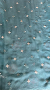 Georgette Organza Saree with Floral Appliqué Work