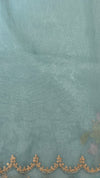 Organza saree