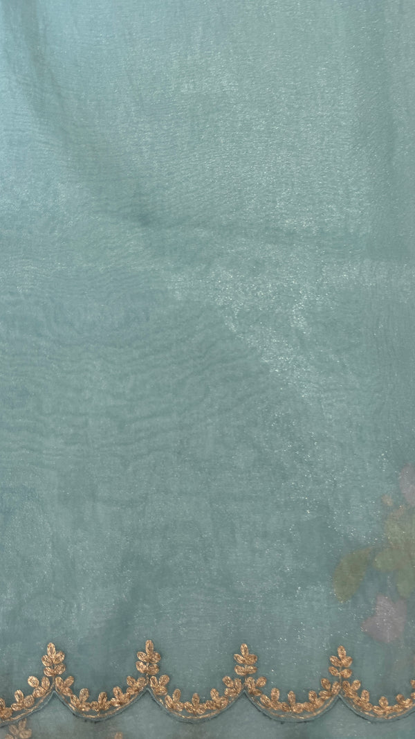 Organza saree