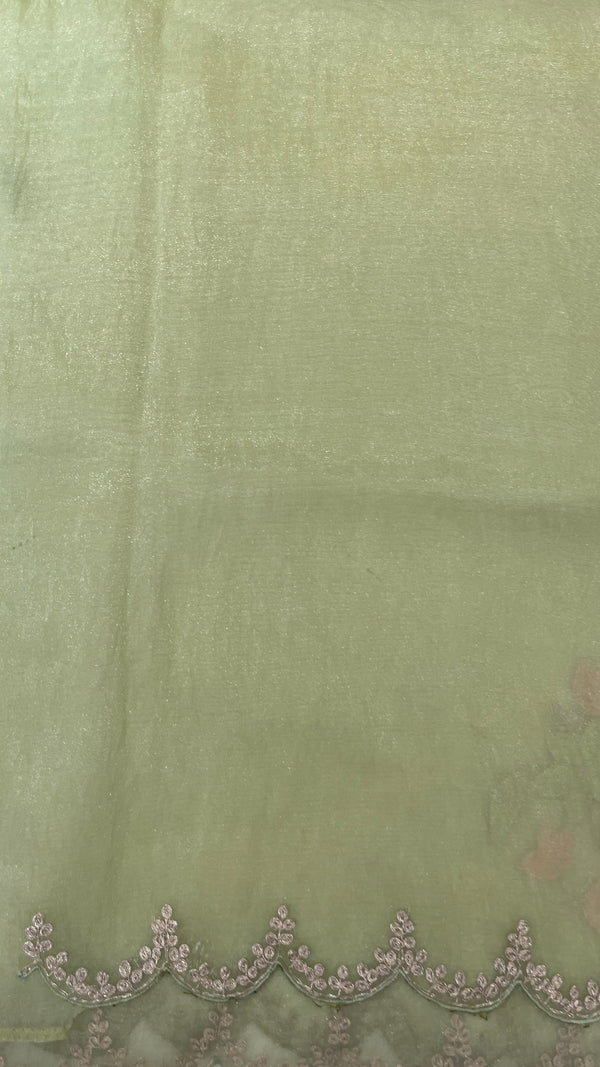 Organza saree