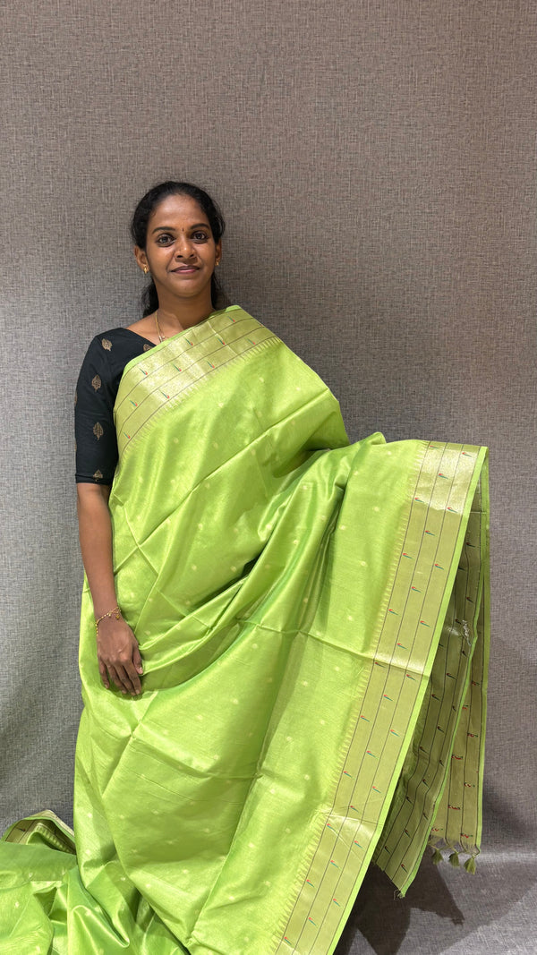 SEMI TUSSAR - PAITHANI BORDER