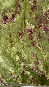 Mul Cotton-Batik Saree