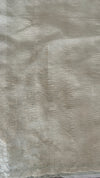 Pure Organza saree