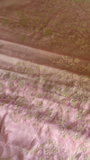 Pure Organza saree