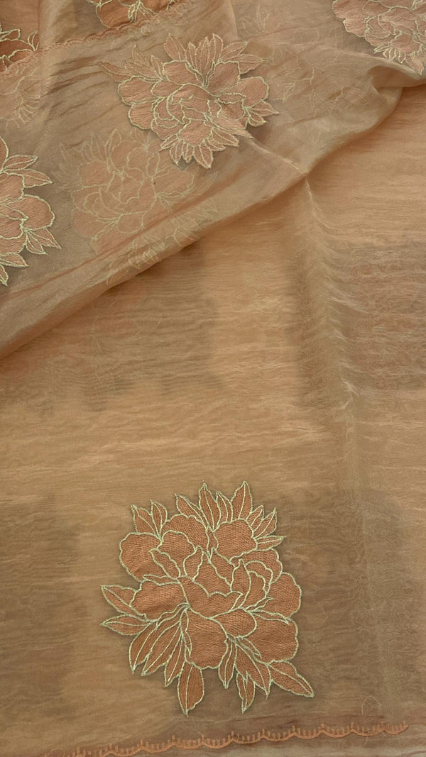 Crushed Organza Saree