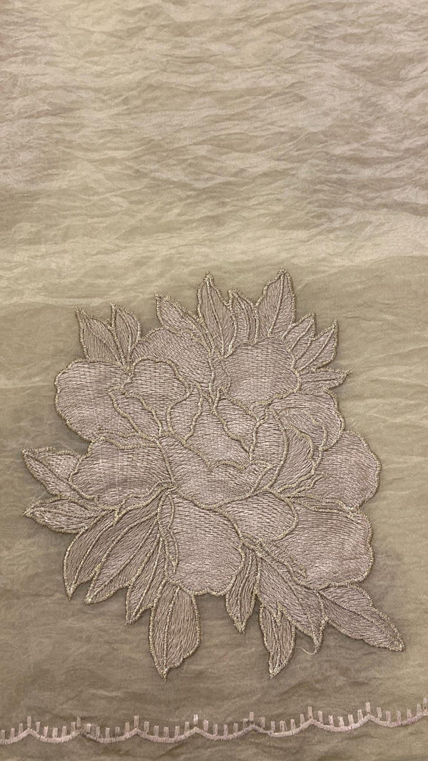 Crushed Organza Saree