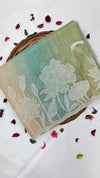 PURE ORGANZA SAREE