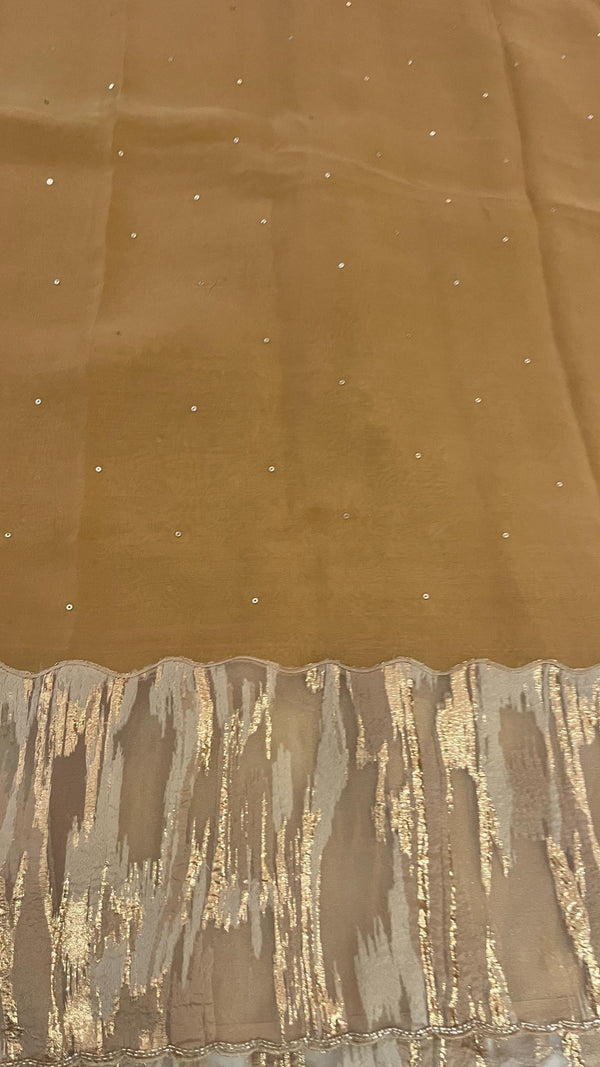 Organza Saree with Abstract Tissue Work