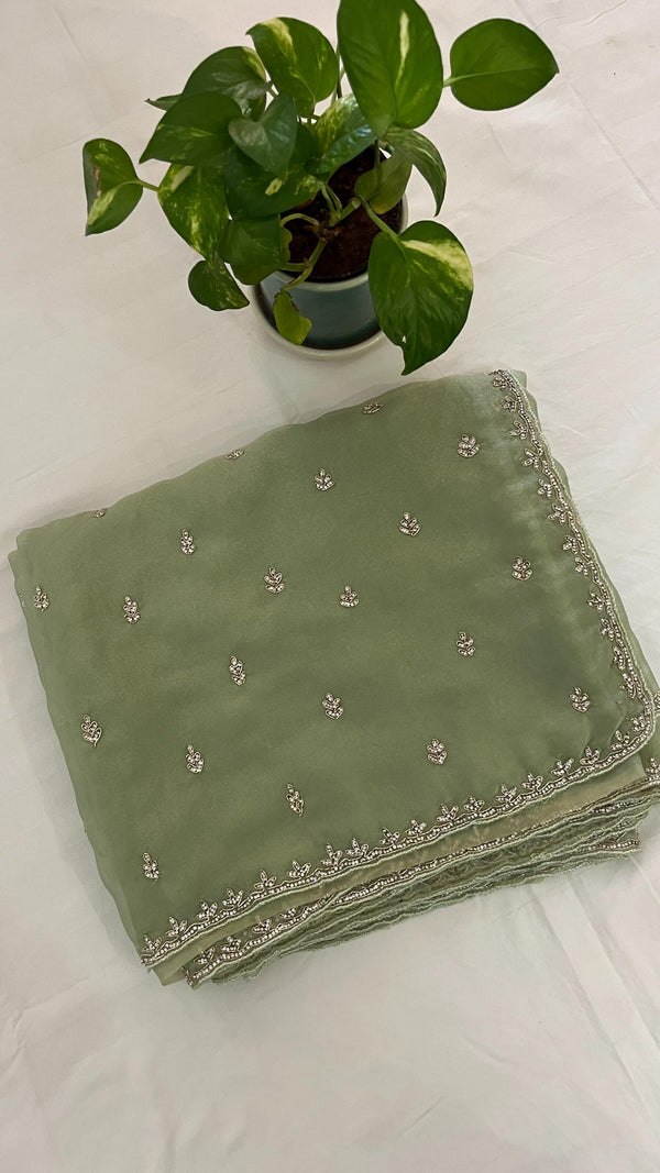 Organza Embellished Saree