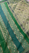 Hand brush painted Banarasi saree