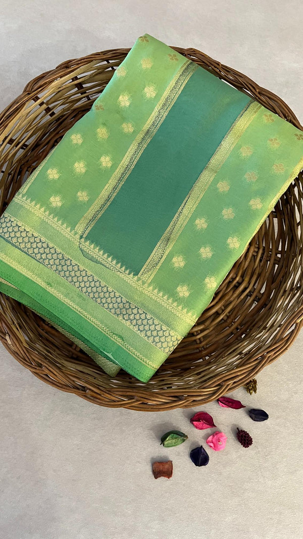 Hand brush painted Banarasi saree