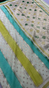 Hand brush painted Banarasi saree