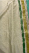 Hand brush painted Banarasi saree