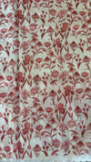 Soft Tissue Organza Saree