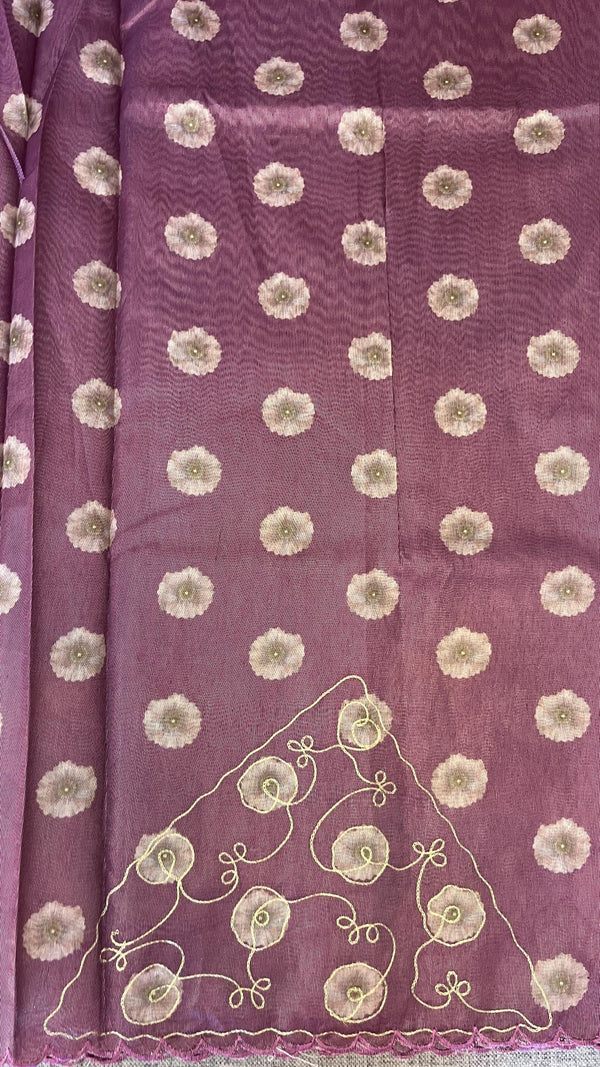 Tissue Organza Saree