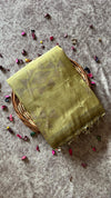 Linen Tissue Saree