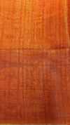Warli Art saree