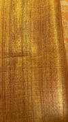 Warli Art saree