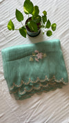 Organza saree