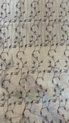 Linen Tissue Saree