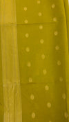 Paithani Border Saree