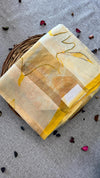 Pure Organza Saree