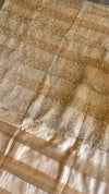 SoftCrushed Tissue Organza Saree