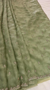 Organza Embellished Saree