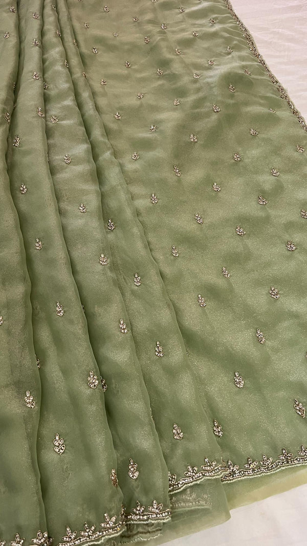 Organza Embellished Saree