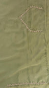 Organza Embellished Saree