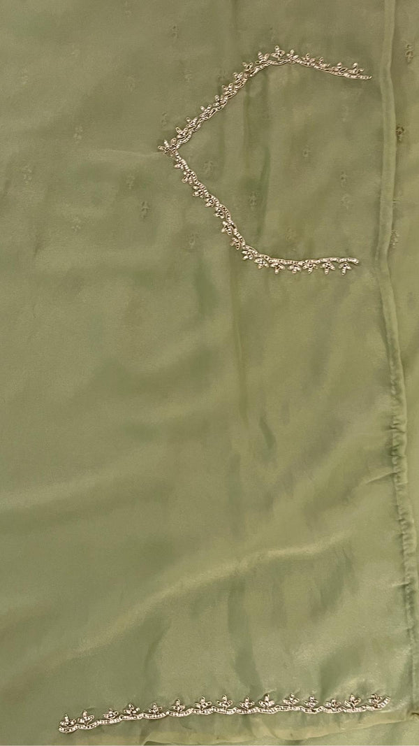 Organza Embellished Saree