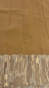 Organza Saree with Abstract Tissue Work